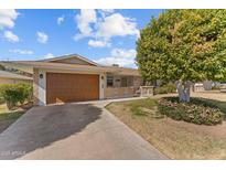 Brick ranch house with a large tree, well-maintained lawn, and a wooden garage door at 9890 N Balboa Dr, Sun City, AZ 85351