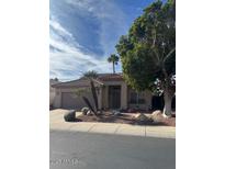 Single-story home with attractive landscaping and a two-car garage at 13248 N 12Th Pl, Phoenix, AZ 85022