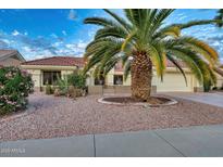 Single-story home with terracotta tile roof, desert landscaping, and a large palm tree at 15704 W Sentinel Dr, Sun City West, AZ 85375