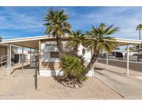Tan mobile home with carport, palm trees, and paved driveway at 11411 N 91 Ave # 56, Peoria, AZ 85345