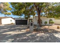 Updated single story home with large front yard and mature trees at 321 W Palo Verde St, Gilbert, AZ 85233