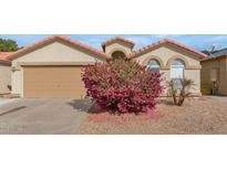 Charming single-story home featuring a well-maintained front yard with beautiful flowering bushes and a two-car garage at 8418 W Almeria Rd, Phoenix, AZ 85037