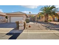 Charming single-story home with desert landscaping, palm tree, and a welcoming front entrance at 9429 E Nacoma Dr, Sun Lakes, AZ 85248