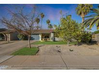 Charming single-story home with well-maintained landscaping, gravel yard, and a blue garage door at 556 W Kiva Ave, Mesa, AZ 85210