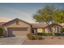 Charming single-story home with well-maintained landscaping and a two-car garage at 17816 W Mariposa Dr, Surprise, AZ 85374