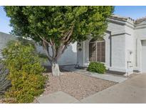Close up of front yard with mature tree and bushes at 320 S 70Th St # 54, Mesa, AZ 85208