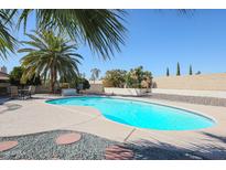 Backyard pool surrounded by desert landscaping and palm trees for a relaxing outdoor space at 13232 W Ballad Dr, Sun City West, AZ 85375