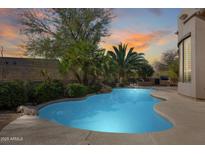 Inviting backyard pool surrounded by lush greenery and mature trees, perfect for relaxing or entertaining at 8171 E Angel Spirit Dr, Scottsdale, AZ 85255