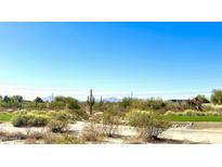 Expansive desert landscape with native plants under a clear blue sky, showcasing the natural beauty of the area at 19460 N 84Th St, Scottsdale, AZ 85255