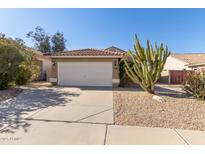 Charming single-story home showcasing desert landscaping, including a vibrant cactus and concrete driveway at 2640 S Los Altos Dr, Chandler, AZ 85286