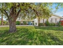 Charming single-story home featuring a mature shade tree and beautiful landscaping at 1047 E 9Th St, Mesa, AZ 85203