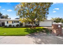 Charming single-story home featuring a lush green lawn, mature tree, and well-manicured landscaping at 623 E Winter Drive Dr, Phoenix, AZ 85020