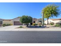 Charming home with desert landscaping, mature trees, and a well-maintained lawn at 16935 W Desert Blossom Way, Surprise, AZ 85387