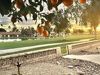 Scenic view of a meticulously kept lawn with a pond, framed by an orange tree, at sunset at 8147 E Lakeview Ave, Mesa, AZ 85209