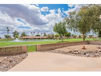 A beautiful backyard that overlooks a green golf course and lake, with trees and open space at 8147 E Lakeview Ave, Mesa, AZ 85209