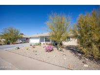 Charming single-story home features low-maintenance desert landscaping and a bright, cheerful facade on a sunny day at 9834 W Evergreen Dr, Sun City, AZ 85373