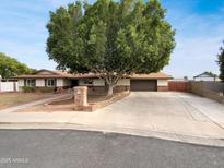 Charming single-story home featuring a large tree, a brick mailbox, and a spacious driveway at 1329 N 25Th St, Mesa, AZ 85213