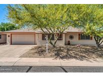 Charming home featuring a well-maintained front yard and a two-car garage at 20006 N Concho Cir, Sun City, AZ 85373