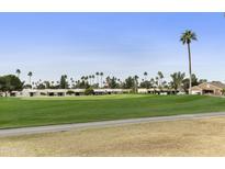Scenic golf course view with lush green grass and palm trees under a clear blue sky at 7909 E Broadway Rd # 2, Mesa, AZ 85208
