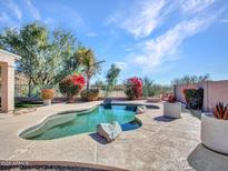 Inviting backyard pool area surrounded by lush landscaping and decorative rocks at 4215 W Reddie Loop, Phoenix, AZ 85083