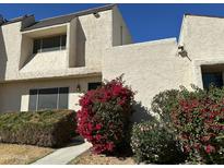 Charming townhouse with a stucco facade and vibrant bougainvillea bushes at 2233 W Farmdale Ave # 2, Mesa, AZ 85202