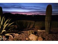 Night view showing the beautiful desert landscape with an amazing colorful sunset in the background at 41225 N River Bend Rd, Phoenix, AZ 85086