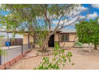 Charming single-story home with mature tree and desert landscaping in a friendly neighborhood at 1004 S Ironwood Dr, Apache Junction, AZ 85120