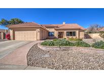 Charming single-story home featuring a well-manicured front yard and attached two-car garage at 13214 S 39Th St, Phoenix, AZ 85044