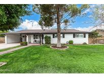 Charming brick home with a well-manicured lawn and a mature shade tree in the front yard at 26 W Rawhide Ave, Gilbert, AZ 85233