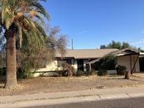 Single level home with a large tree and small carport at 9033 N 15Th Dr, Phoenix, AZ 85021