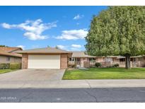 Charming single-story brick home with a well-manicured lawn and mature shade tree at 9606 W Shasta Dr, Sun City, AZ 85351