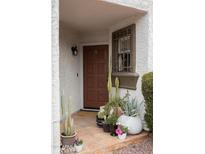 Inviting front entry with a decorative brown door and charming desert-themed potted plants at 7755 E Thomas Rd # 8, Scottsdale, AZ 85251