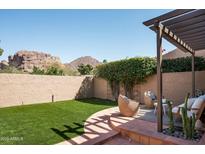 Serene backyard featuring manicured synthetic grass, lounge seating, and desert landscaping at 4442 E Camelback Rd # 161, Phoenix, AZ 85018