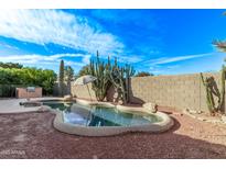 Private in-ground pool with rock features, mature cacti, and desert landscaping in backyard at 20934 N Sweet Dreams Dr, Maricopa, AZ 85138