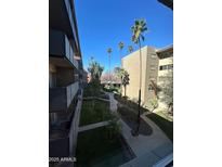 Apartment courtyard with walkways, lawn, mature trees, and palm trees on a clear day at 349 E Thomas Rd # E301, Phoenix, AZ 85012