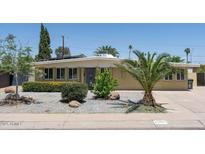 Charming single-story home with desert landscaping, a mature palm tree, and a freshly painted facade at 3802 E Shaw Butte Dr, Phoenix, AZ 85028