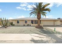 Charming single story home with well maintained desert landscaping and mature palm tree at 9501 W Hidden Valley Cir, Sun City, AZ 85351