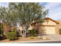 Charming single-story home with a well-maintained front yard and desert landscaping at 10188 E Rugged Mountain Dr, Gold Canyon, AZ 85118