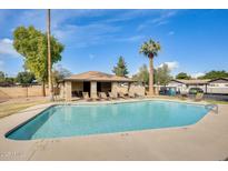 Outdoor pool area with lounge chairs, cabana, and palm tree at 828 W Laguna Dr, Tempe, AZ 85282