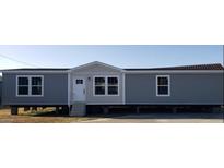 Charming single-story home featuring a gray exterior with white trim and a welcoming front entrance at 385 W Vineyard Rd, Tonopah, AZ 85354