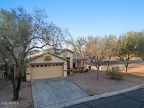 Charming single-story home with a well-manicured front yard and a two-car garage at 29136 N Yellow Bee Dr, San Tan Valley, AZ 85143