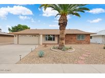 Charming single-story home featuring a well-maintained front yard with desert landscaping and a mature palm tree at 13238 W Bellwood Dr, Sun City West, AZ 85375