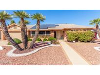 Charming home with a well-manicured front yard, complemented by palm trees and solar panels on the roof at 14718 W Ravenswood Dr, Sun City West, AZ 85375