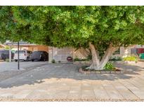 Charming home featuring a large, mature tree providing ample shade in the front yard at 917 N Nina Dr, Mesa, AZ 85201