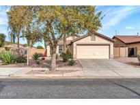Inviting single-Gathering home featuring a two car garage, desert landscaping, and mature shade tree in the front yard at 3060 W Roberta Dr, Phoenix, AZ 85083