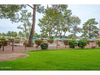 Enjoy community living with this refreshing pool area with mature landscaping, perfect for relaxation and recreation at 12212 N Paradise Village S Pkwy # 146, Phoenix, AZ 85032