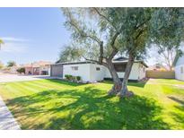 Charming single-story home with a well-manicured lawn and mature shade tree at 837 E Divot Dr, Tempe, AZ 85283