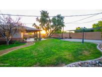 Lush backyard featuring a covered patio, hammock, green lawn, and mature trees at 824 W Luke Ave, Phoenix, AZ 85013