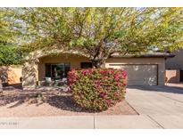 Charming single-story home featuring a desert landscape and mature trees in a well-maintained neighborhood at 1250 E Vermont Dr, Gilbert, AZ 85295