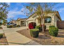 Inviting single-story home with a well-manicured front yard and an attached two-car garage at 20308 E Broadmoor Trl, Queen Creek, AZ 85142